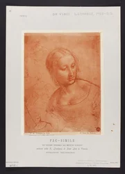 «Estudio de un busto femenino», dibujo de Leonardo da Vinci (1452-1519) de la colección de la Real Accademia di Belle Arti de Venecia; lámina de la carpeta: «Fac-simile dei disegni originali dei maestri classici esistenti nella R. Accademia di Belle Arti