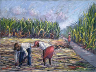 Cosecha de caña de azúcar, 1986