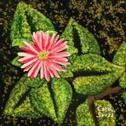 Flor silvestre