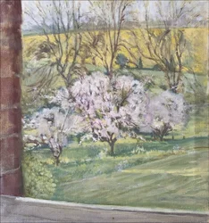 Primavera desde nuestra ventana, 2005