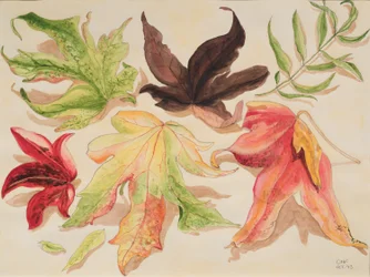 Hojas de otoño, 1993