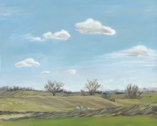Paisaje de campo abierto
