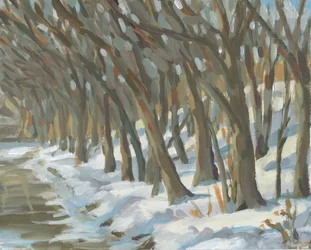 Árboles nevados a orillas del río