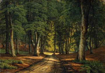 Un paisaje boscoso con ciervos (óleo sobre lienzo)