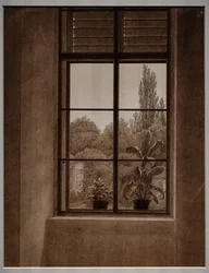 Ventana con vistas a un parque