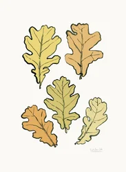 Hojas de roble en otoño