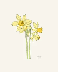 Narcisos de color amarillo brillante
