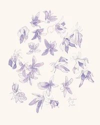 Delicadas flores moradas