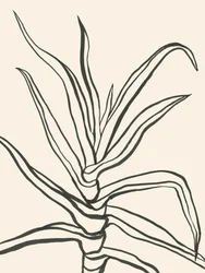 Esquema minimalista de una planta