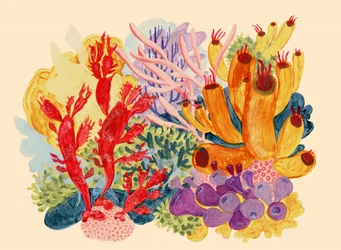 Arrecife de coral lleno de vida
