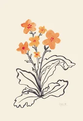 Flores de un naranja intenso