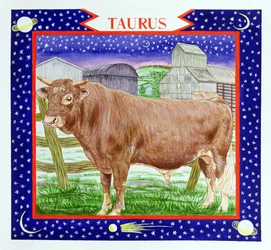 Tauro