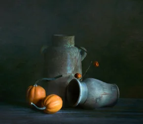 Calabazas rústicas con un toque melancólico