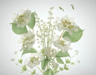 Ramo «White Lily Valley»