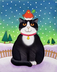 Gato con petirrojo