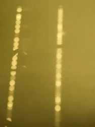 Composición - Luz, 2019 (foto)
