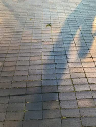 Composición - Luz, 2021 (foto)