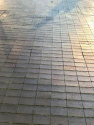 Composición - Luz, 2021 (foto)
