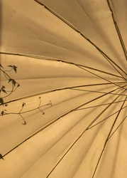 Composición - Luces, 2020 (foto)