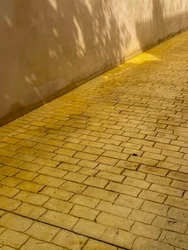 Composición - Pavimentos y sombras, 2022