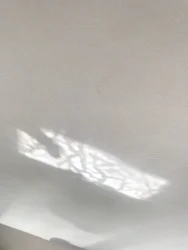 Composición - Reflexiones, 2019 (foto)