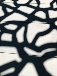 Composición - Sombras, 2021
