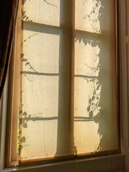 Composición - Sombras, 2021