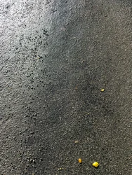 Composición - Textura, 2020 (foto)