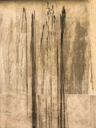 Composición - Textura, 2020 (foto)