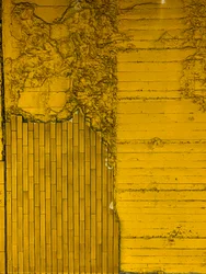 Composición - Textura, 2024 (foto)
