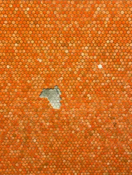 Composición - mosaico, 2022 (foto)
