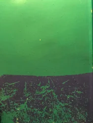 Composición, 2019 (foto)