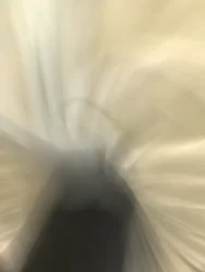 Composición, 2021 (foto)