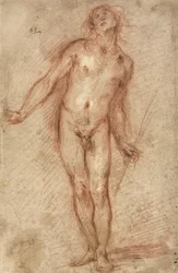 Desnudo masculino de pie, 1637-38