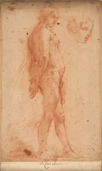 Estudio de un desnudo masculino de pie, con un estudio de cabeza en perfil de tres cuartos, c. 1640