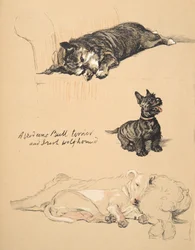Aberdeens, Bull-Terrier y Irish Wolfhound, 1930, Ilustraciones de su Sketch Book usado para Just Among Friends, Aldin, Cecil Charles Windsor (1870-1935), publicado posteriormente por Eyre and Spottiswoode Limited, 1934