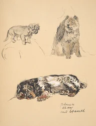 Pekinés, Chow y Spaniel, 1930, Ilustraciones de su Sketch Book usado para Just Among Friends, Aldin, Cecil Charles Windsor (1870-1935), publicado posteriormente por Eyre and Spottiswoode Limited, 1934