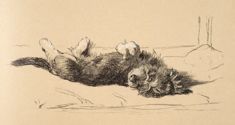 Detalle de cachorro de dachshund áspero, 1930, Ilustraciones de su Sketch Book usado para Just Among Friends, Aldin, Cecil Charles Windsor (1870-1935), publicado posteriormente por Eyre and Spottiswoode Limited, 1934