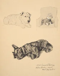 Terrier de pelo duro, Aberdeen y West Highlander, 1930, Ilustraciones de su Sketch Book usado para Just Among Friends, Aldin, Cecil Charles Windsor (1870-1935), publicado posteriormente por Eyre and Spottiswoode Limited, 1934