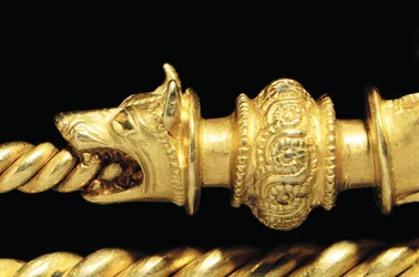 Fibula de guerrero La Tène de gran importancia, (detalle)