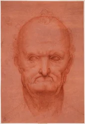 Cabeza de anciano, c. 1515