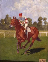 Caballo de carreras