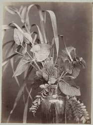 Estudio de flores con botella de cristal.