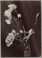 Estudio de flores con jarrón de cristal.