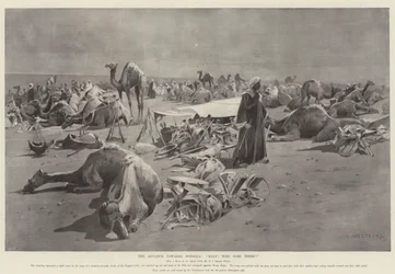 El avance hacia Dongola, ¡Alto! ¿Quién va allí?