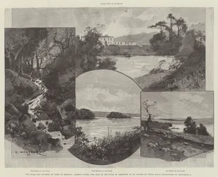 El Duque y la Duquesa de York en Irlanda, Baron