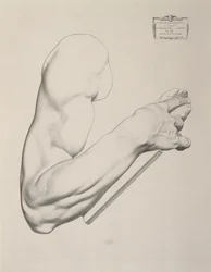 Impresión en papel gris, 1868