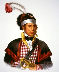 Jefe McIntosh, ilustración de 