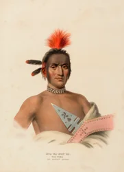 MOA-NA-HON-GA. GRAN CAMINANTE. AN IOWAY CHIEF, de History of the Indian Tribes of North America