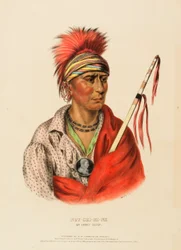 NOT-CHI-MI-NE. AN IOWAY CHIEF., de History of the Indian Tribes of North America